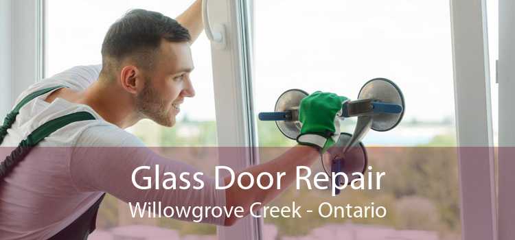 Glass Door Repair Willowgrove Creek - Ontario