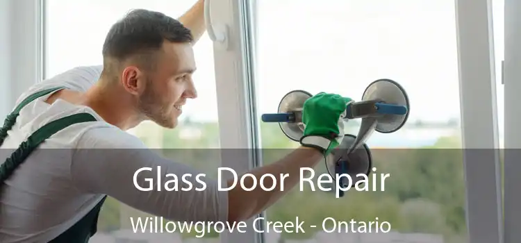 Glass Door Repair Willowgrove Creek - Ontario