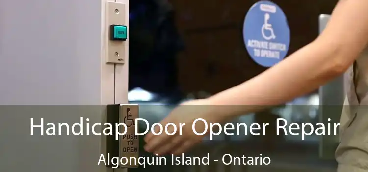 Handicap Door Opener Repair Algonquin Island - Ontario