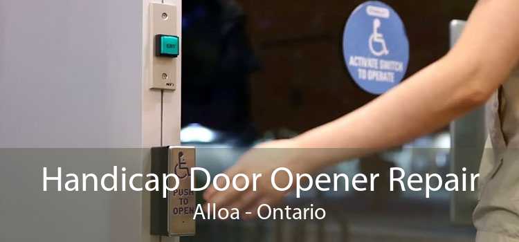 Handicap Door Opener Repair Alloa - Ontario