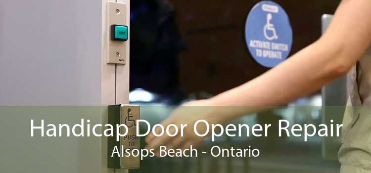 Handicap Door Opener Repair Alsops Beach - Ontario
