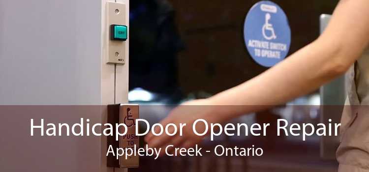 Handicap Door Opener Repair Appleby Creek - Ontario