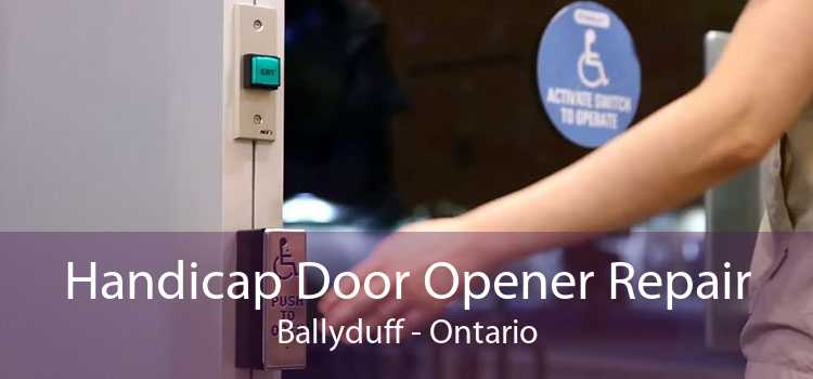 Handicap Door Opener Repair Ballyduff - Ontario