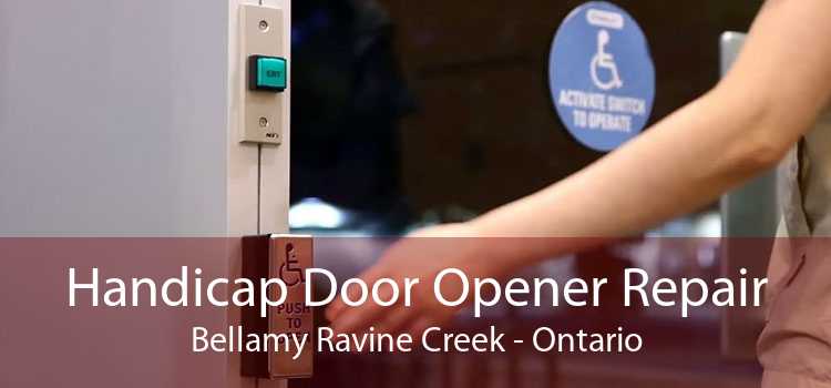 Handicap Door Opener Repair Bellamy Ravine Creek - Ontario