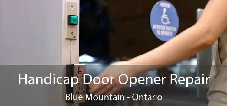 Handicap Door Opener Repair Blue Mountain - Ontario