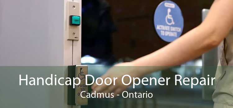 Handicap Door Opener Repair Cadmus - Ontario