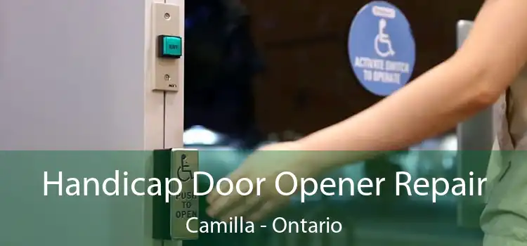 Handicap Door Opener Repair Camilla - Ontario