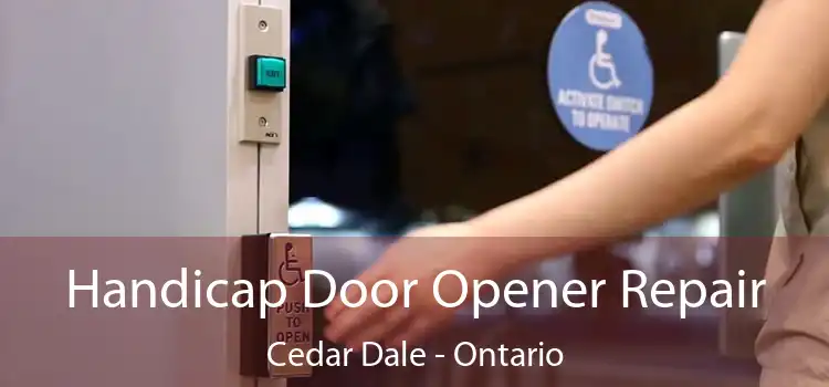 Handicap Door Opener Repair Cedar Dale - Ontario
