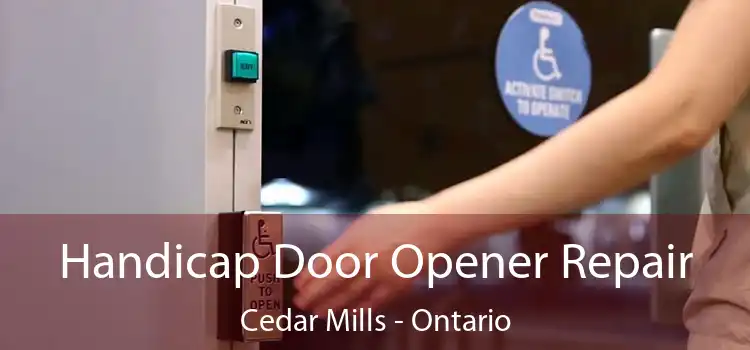 Handicap Door Opener Repair Cedar Mills - Ontario