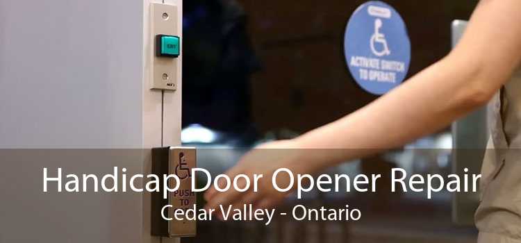 Handicap Door Opener Repair Cedar Valley - Ontario