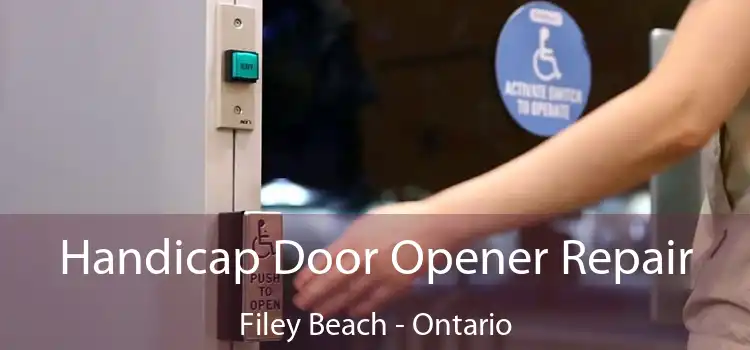 Handicap Door Opener Repair Filey Beach - Ontario