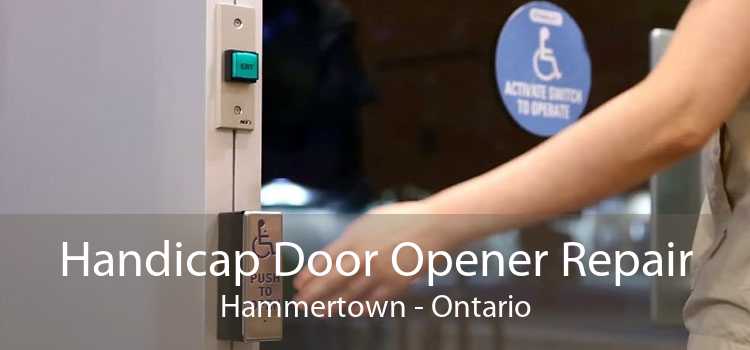 Handicap Door Opener Repair Hammertown - Ontario