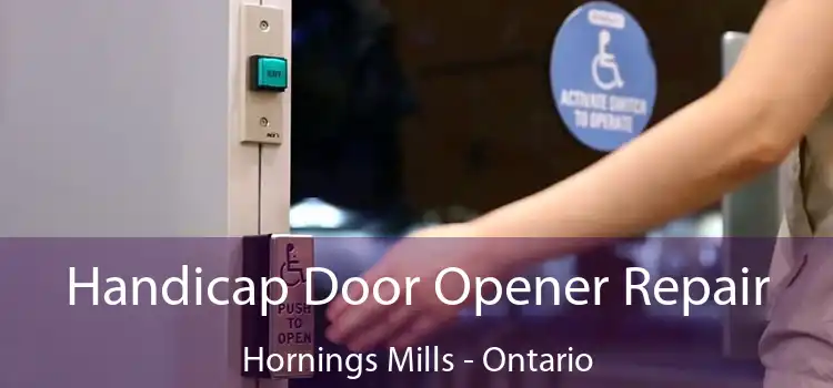 Handicap Door Opener Repair Hornings Mills - Ontario