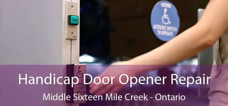 Handicap Door Opener Repair Middle Sixteen Mile Creek - Ontario