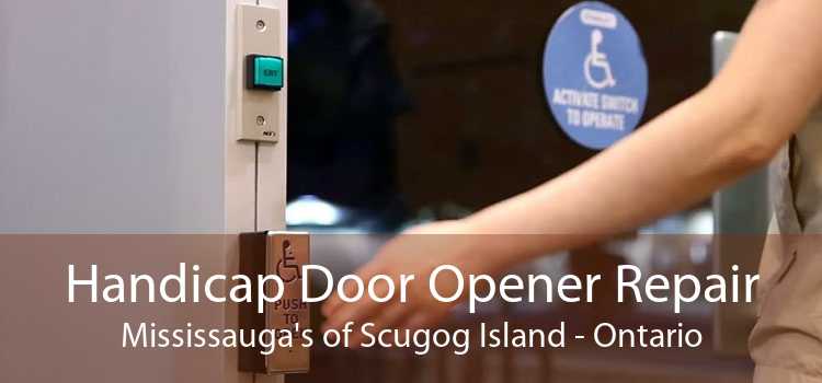 Handicap Door Opener Repair Mississauga's of Scugog Island - Ontario