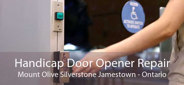 Handicap Door Opener Repair Mount Olive Silverstone Jamestown - Ontario