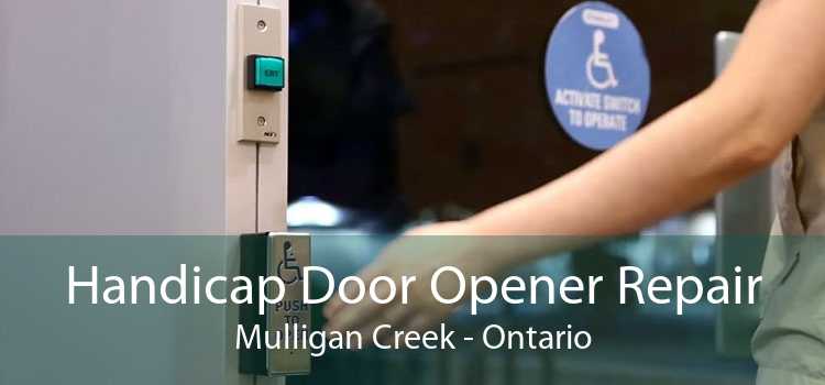 Handicap Door Opener Repair Mulligan Creek - Ontario
