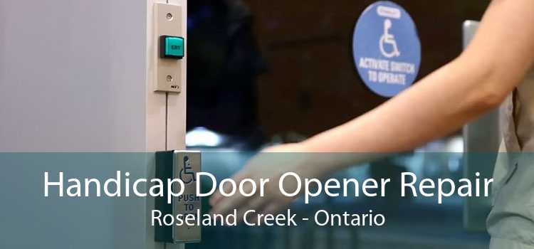 Handicap Door Opener Repair Roseland Creek - Ontario