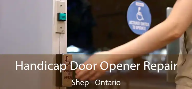 Handicap Door Opener Repair Shep - Ontario