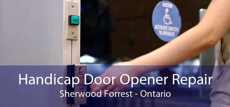 Handicap Door Opener Repair Sherwood Forrest - Ontario