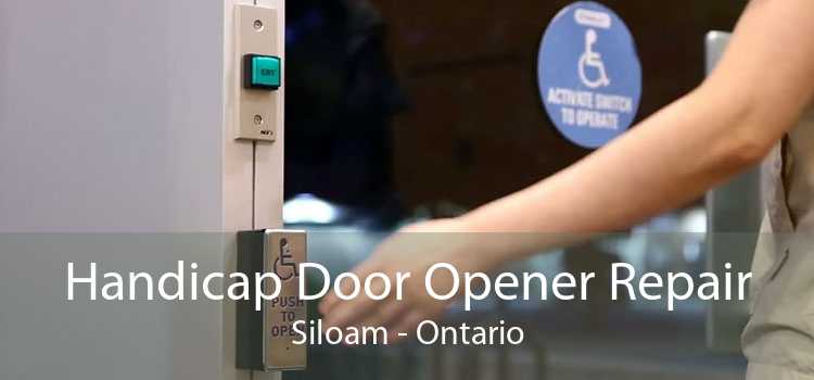 Handicap Door Opener Repair Siloam - Ontario