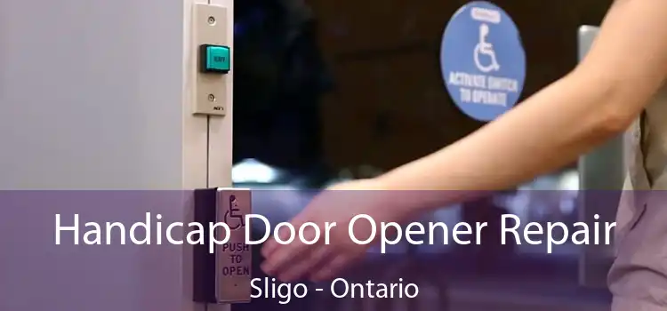 Handicap Door Opener Repair Sligo - Ontario