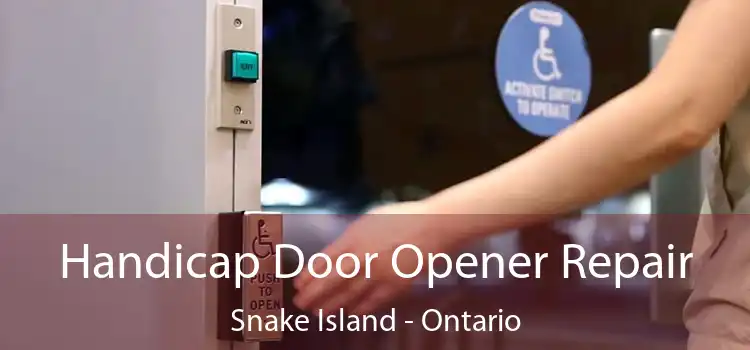 Handicap Door Opener Repair Snake Island - Ontario