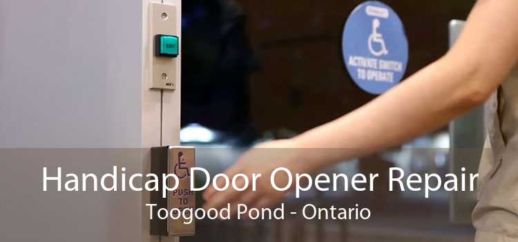 Handicap Door Opener Repair Toogood Pond - Ontario