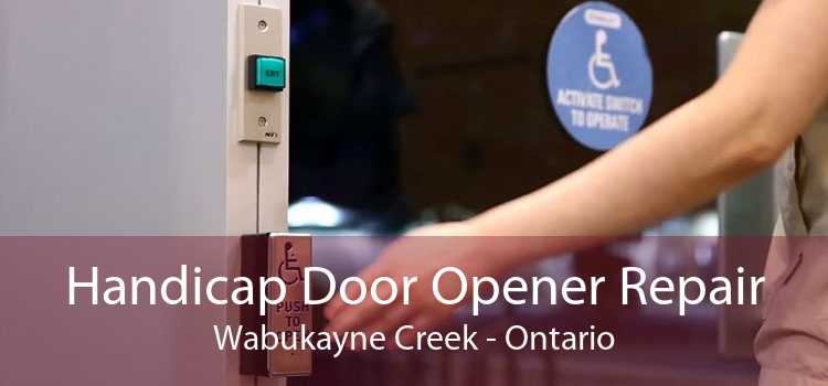 Handicap Door Opener Repair Wabukayne Creek - Ontario