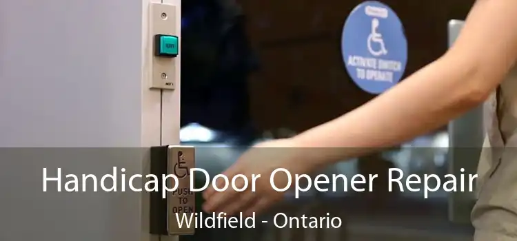 Handicap Door Opener Repair Wildfield - Ontario