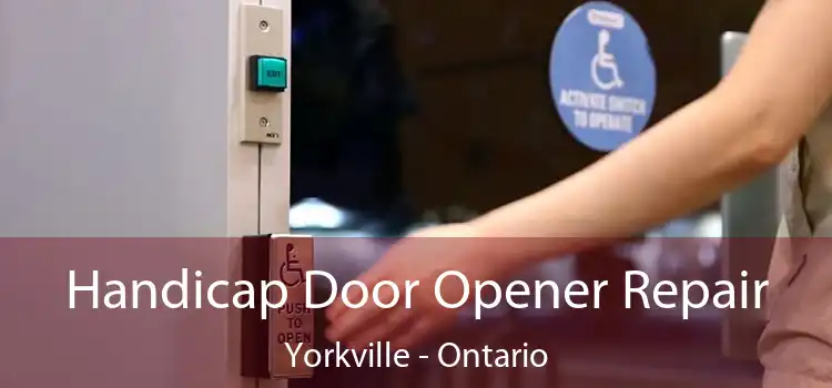 Handicap Door Opener Repair Yorkville - Ontario