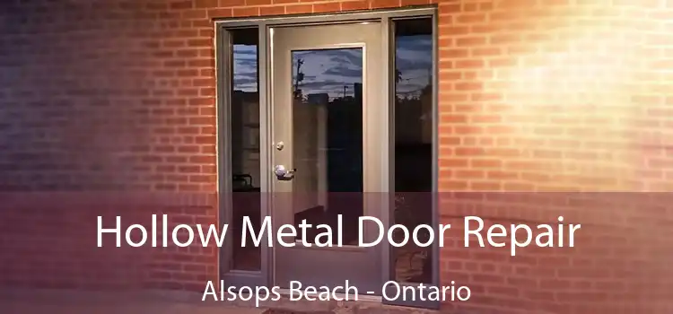 Hollow Metal Door Repair Alsops Beach - Ontario