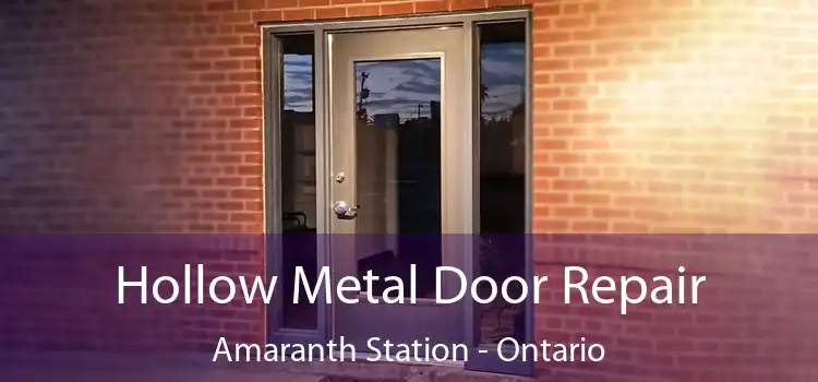Hollow Metal Door Repair Amaranth Station - Ontario