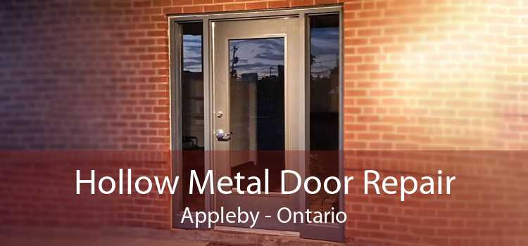 Hollow Metal Door Repair Appleby - Ontario