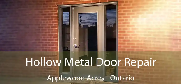 Hollow Metal Door Repair Applewood Acres - Ontario