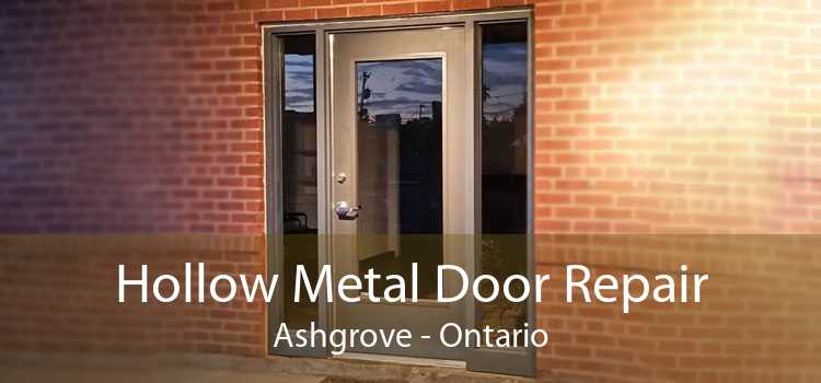 Hollow Metal Door Repair Ashgrove - Ontario