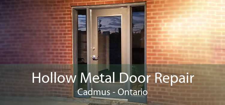 Hollow Metal Door Repair Cadmus - Ontario
