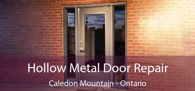 Hollow Metal Door Repair Caledon Mountain - Ontario
