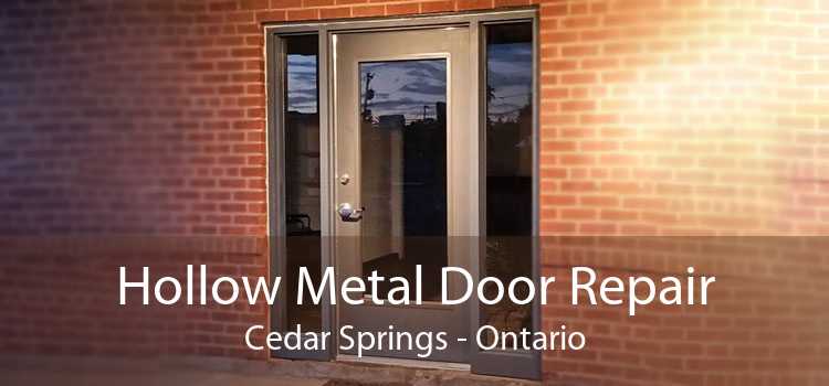 Hollow Metal Door Repair Cedar Springs - Ontario