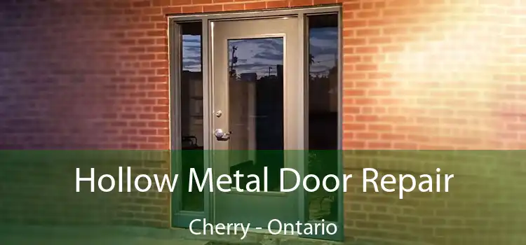 Hollow Metal Door Repair Cherry - Ontario