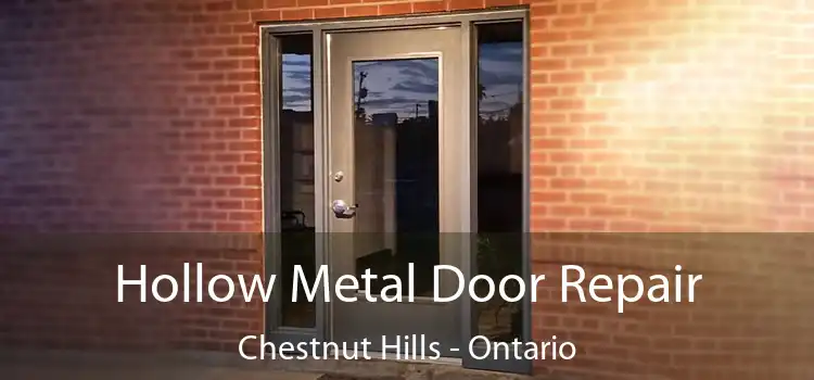 Hollow Metal Door Repair Chestnut Hills - Ontario