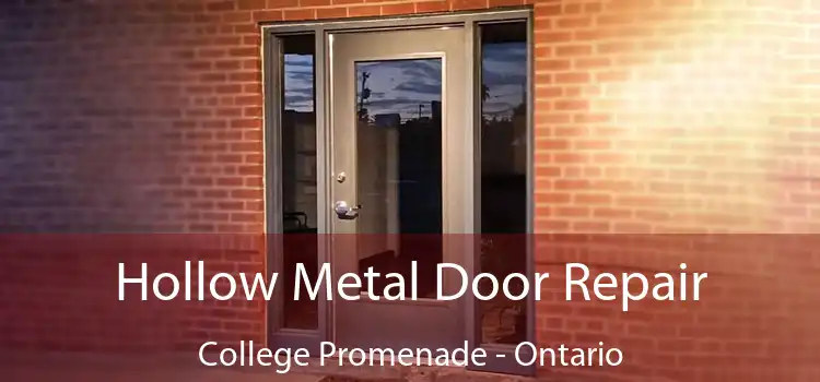 Hollow Metal Door Repair College Promenade - Ontario