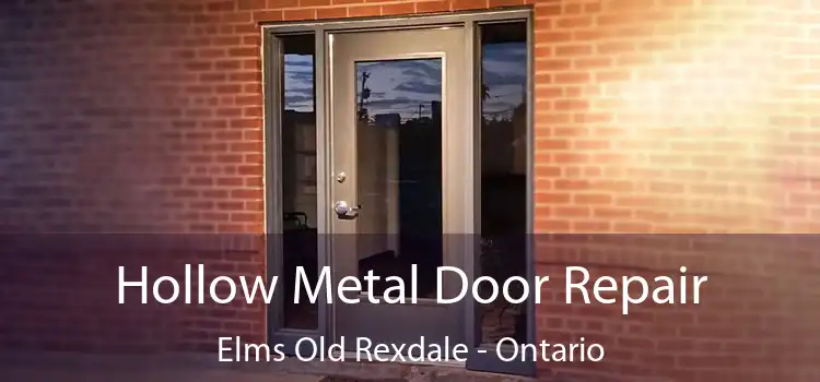 Hollow Metal Door Repair Elms Old Rexdale - Ontario