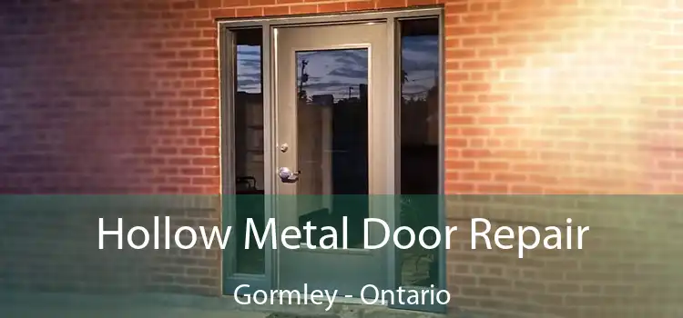 Hollow Metal Door Repair Gormley - Ontario
