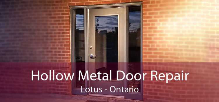 Hollow Metal Door Repair Lotus - Ontario