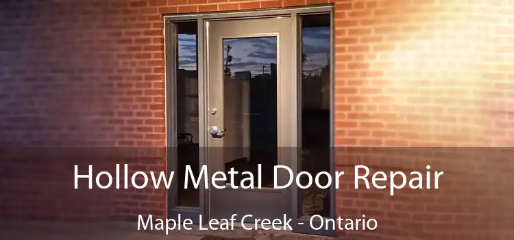 Hollow Metal Door Repair Maple Leaf Creek - Ontario