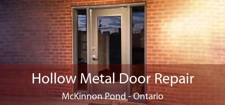 Hollow Metal Door Repair McKinnon Pond - Ontario