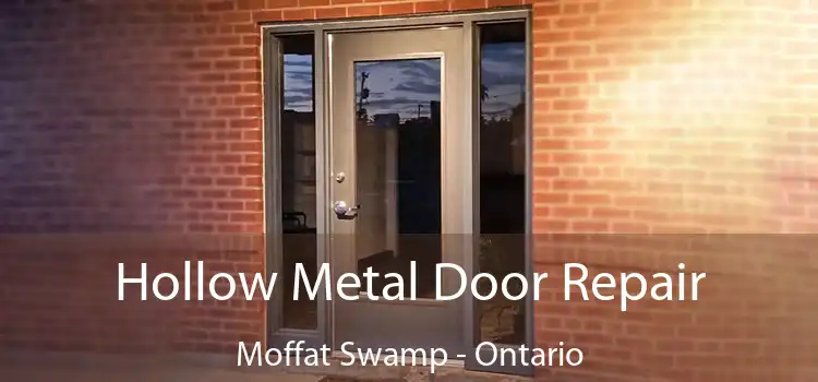 Hollow Metal Door Repair Moffat Swamp - Ontario
