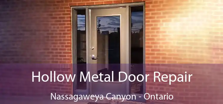Hollow Metal Door Repair Nassagaweya Canyon - Ontario