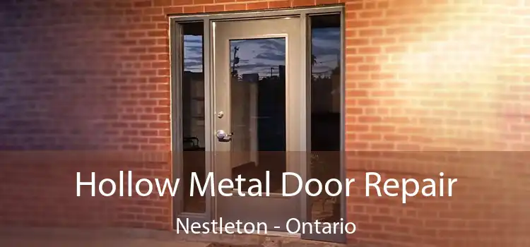 Hollow Metal Door Repair Nestleton - Ontario